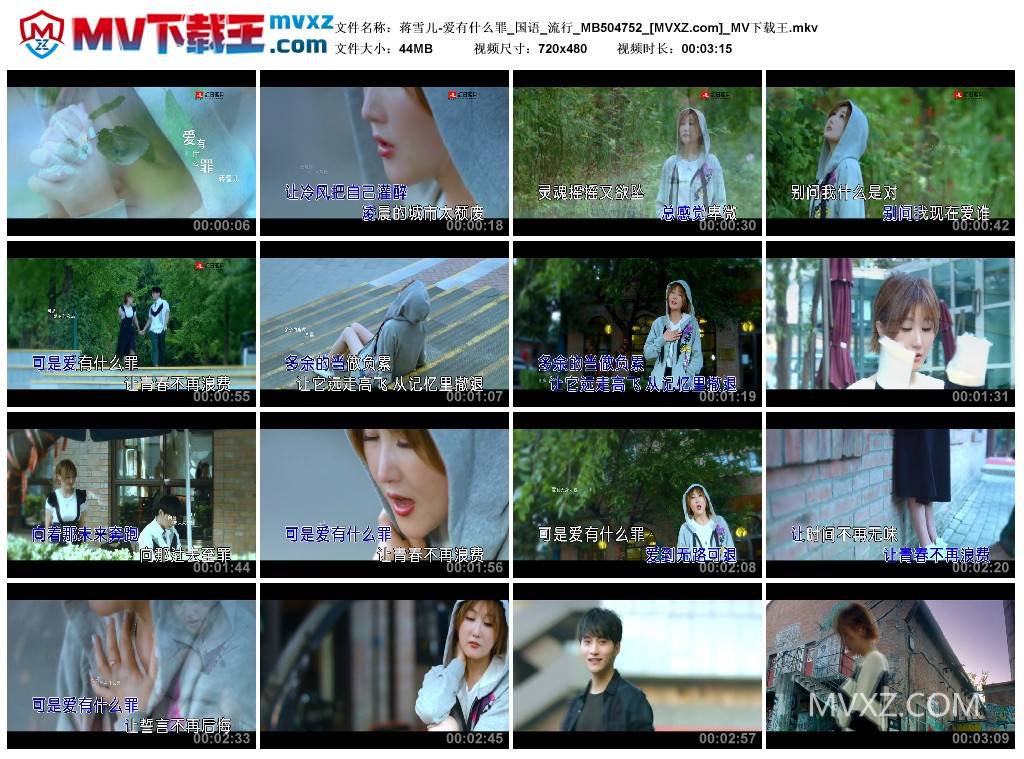 蒋雪儿-爱有什么罪_国语_流行_MB504752